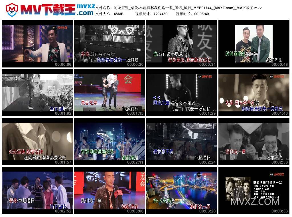 阿龙正罡_柴俊-举起酒杯我们这一辈_国语_流行_MEB01744